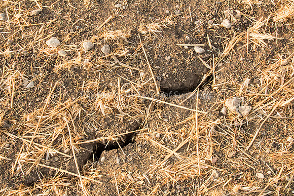 Cracked Ground in Haystack Field 170721-1