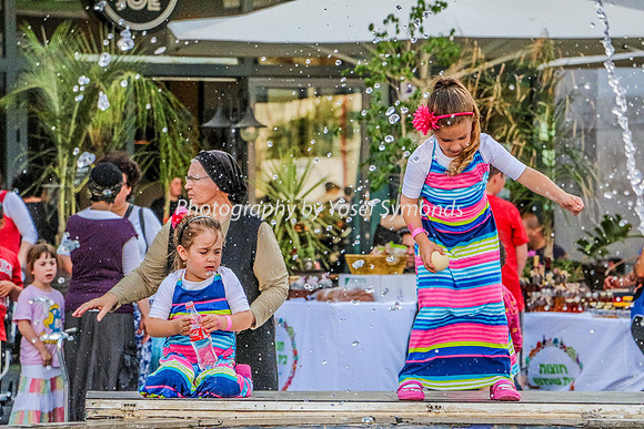 150702-NaimiMall_ArtsFair-5684