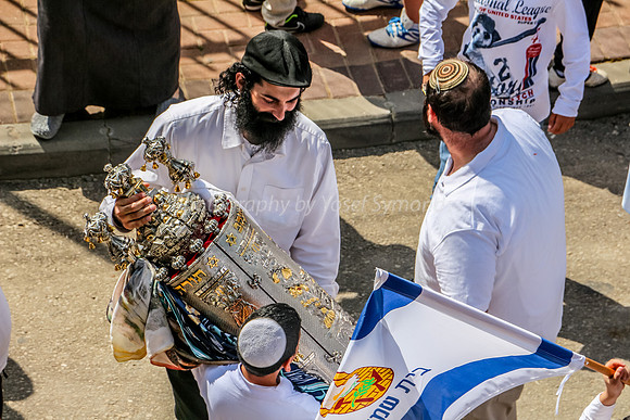 Procession in Street 6