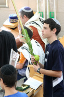 111017-Hoshanas-OhrShalom-Sukk_7824