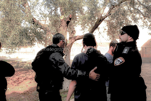 The Arrest 2