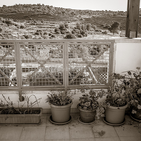 Site of Mem3 2014-2