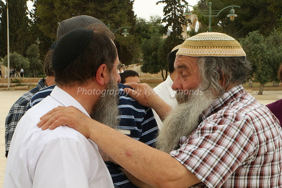 Telling the Story (2)