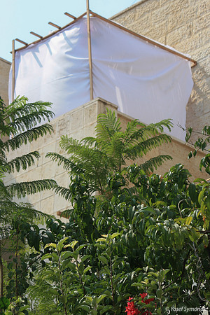 Sailing Sukkah 1
