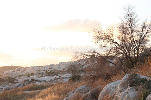 Mem 3 2014 Q3 Sunset on Ramat Shilo 8046