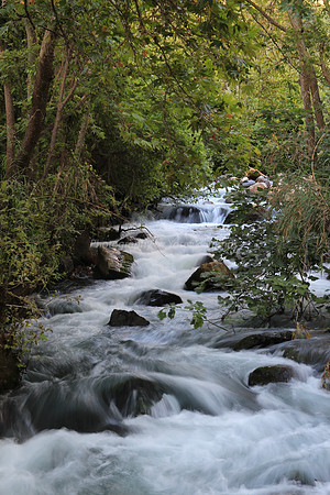 Snir River 1