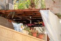 Party Sukkah 2