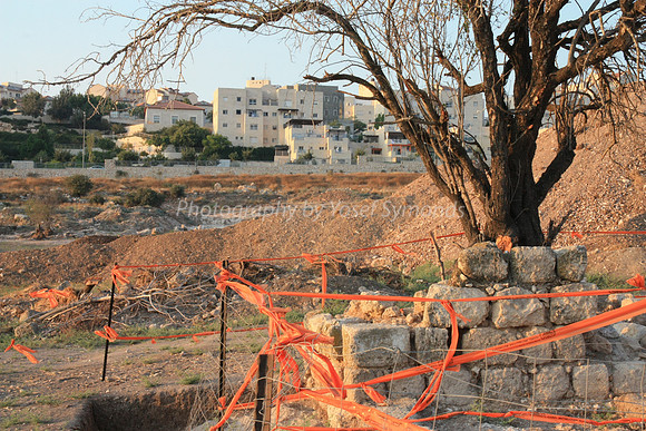 Mem 3 Antiquities Ramat Beit Shemesh  (8)