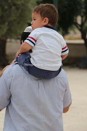 Bambino On the Move