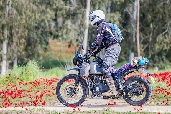 Motorcyclist 220216--7