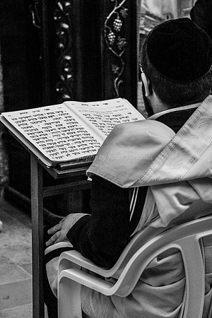 Man Reads Psalms at Kotel 4