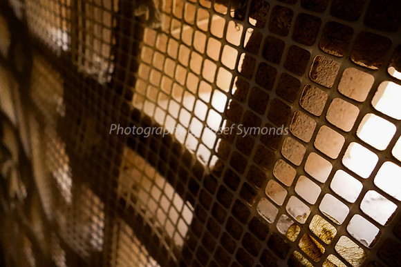 Bird Netting Over Hollow Blockwork 1