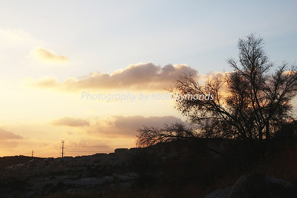 Mem 3 2014 Q3 Sunset on Ramat Shilo 8045A
