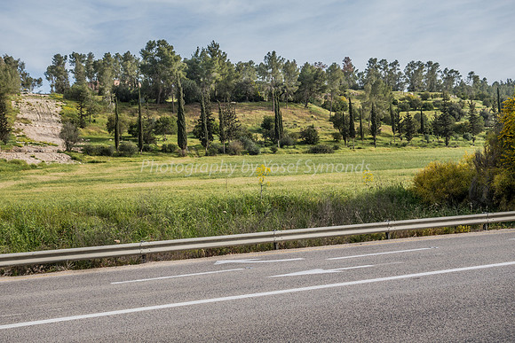 Road and Fields in Ella Valley 7