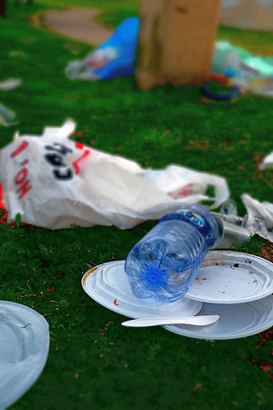 Garbage in Park RBSA 1