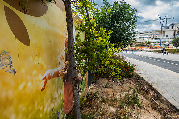 Busy Fence 250801-1