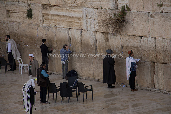 Western Wall קוטל המערבי