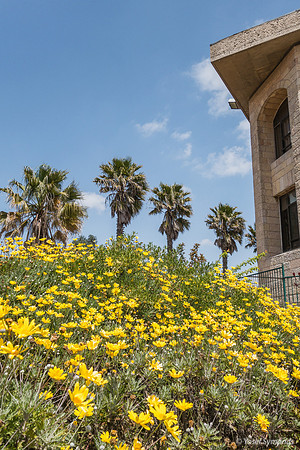 Ofra Synagogue 190423-5