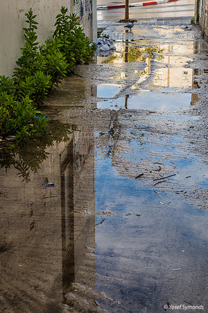 Reflection in Puddles 221226-1