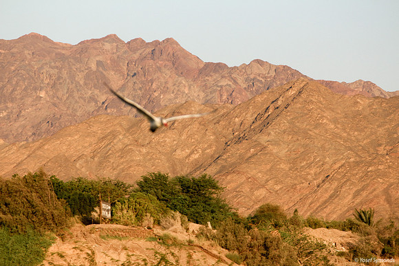 Looking West - Mountains Behind Route #90 - 2