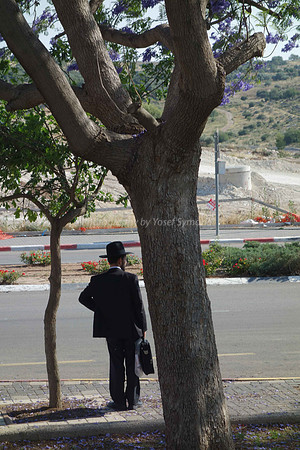 Hareidi Man Waiting on Street