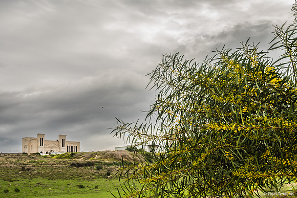 From Dan Boulevarde, Beit Shemesh 250321-3