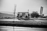 DSC07539-2