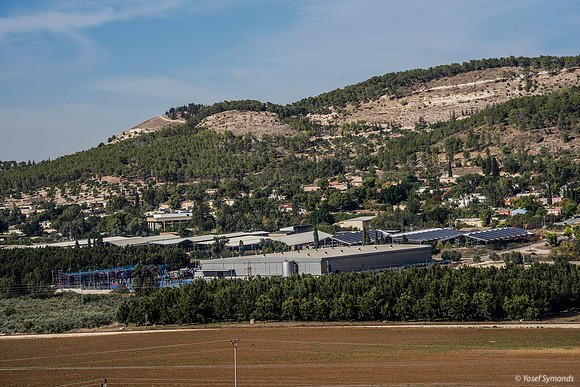 Kibbutz Tzora Birthplace of Samson 191121-1