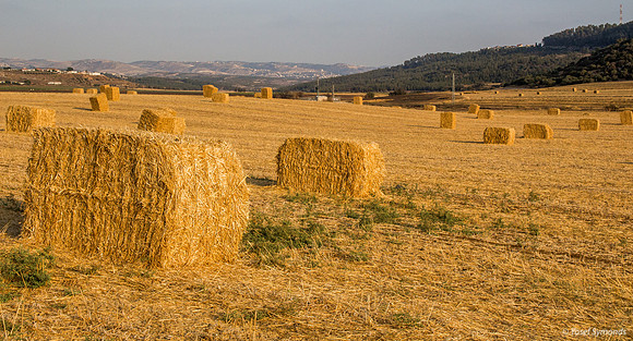Haystacks in Field 170721-28