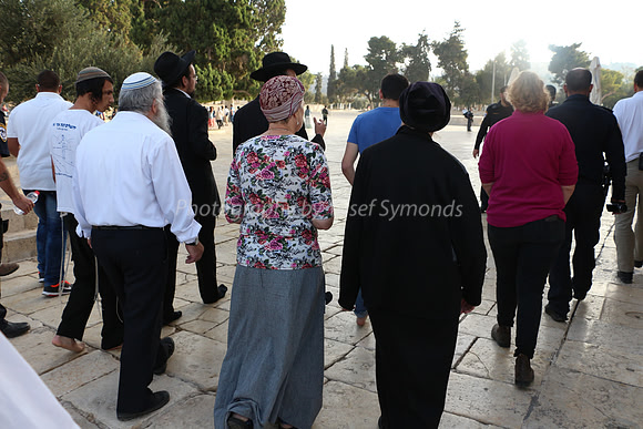 Walking in Contemplation 4