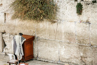 Solitary Prayer at the Wall 3