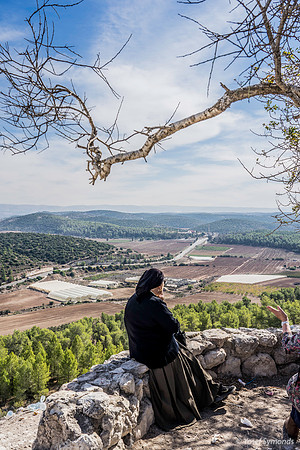 Contemplating the Elah Valley 191121-1