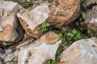 Cracks n Stone Wall Beit Shemesh 190405-2