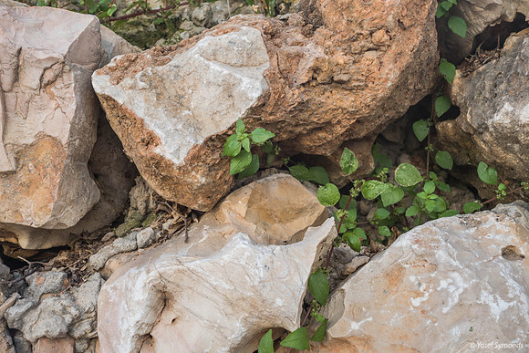 Cracks n Stone Wall Beit Shemesh 190405-2
