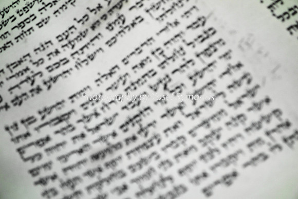 Parchment from Scroll of Book of Prophets 3