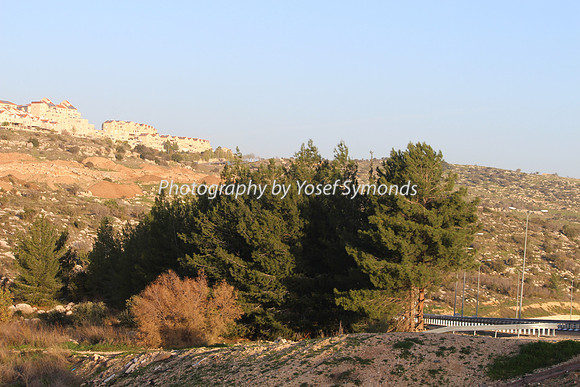 Mishkafayim 2013 Q1 Development Jan13-14