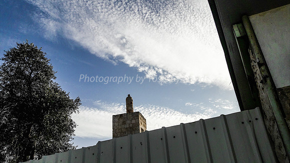 Minaret and Tree - Ramle 1