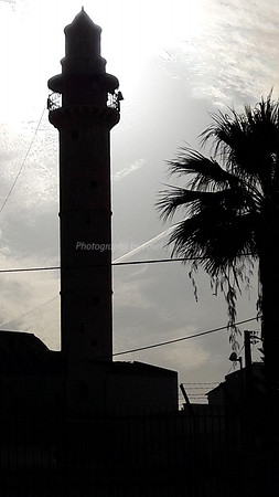 Minaret and Tree - Ramle 5