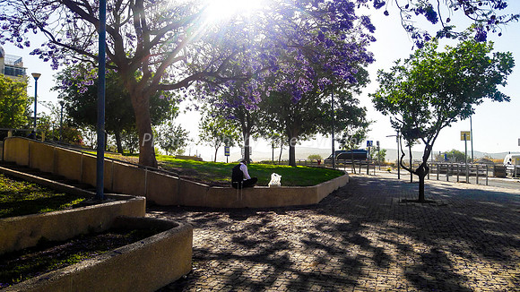 Waiting - Nachal Habesor Park 1