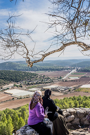 Contemplating the Elah Valley 191121-3