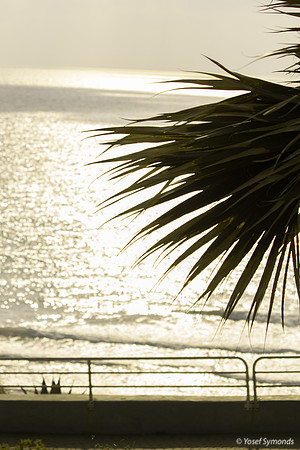 Seascape from Shaked Tayelet 190804-13