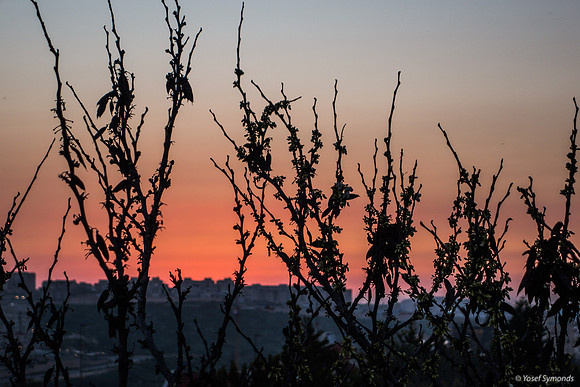 Looking at Ramat Beit Shemesh Gimmel Sunset 200316-2