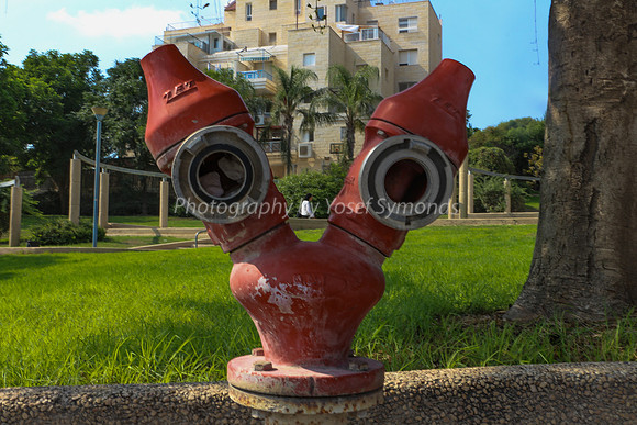 Hydrant Guarding Eyes 2