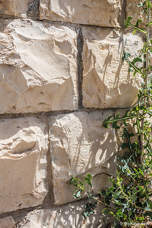 Cracks 190526-2