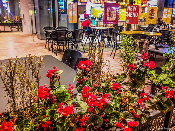 Outside Walkway Shaar Hair Mall Beit Shemesh 2
