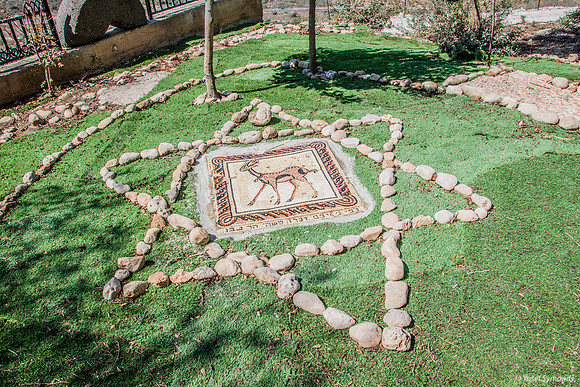 Mosaic in Zar Home Grounds 180927-4