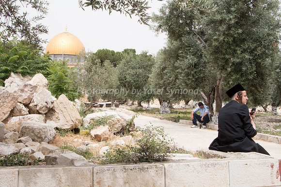 Temple Mount 140605 June 2014