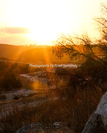 Mem 3 2014 Q3 Sunset on Ramat Shilo 8051A