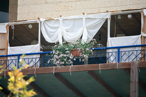 Flower and Sheet Sukkah 3