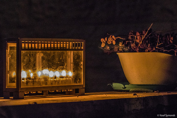 Chanukiot Still Life 211205-1